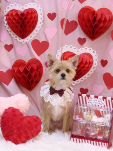 20240211リクくん